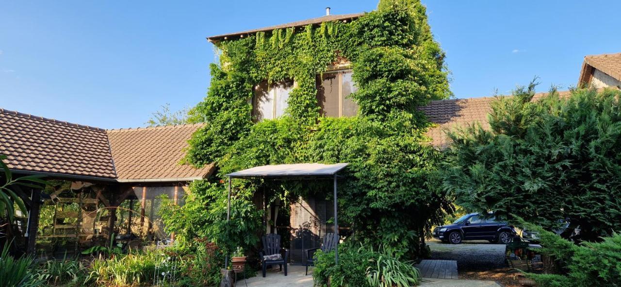 Les Grands Bois Villa Saint-Epain ภายนอก รูปภาพ